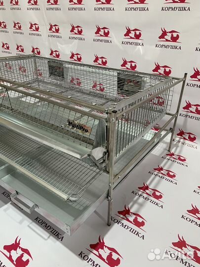 Клетка для перепелов 