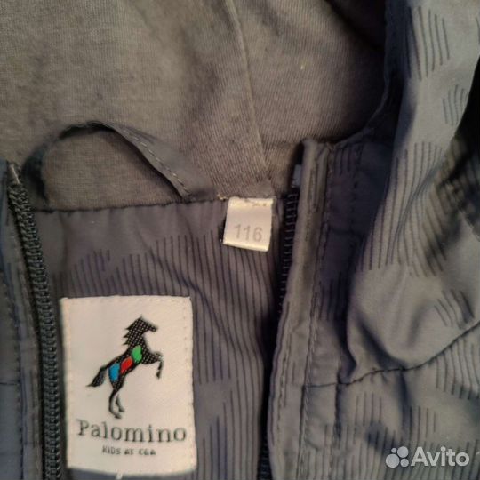 Одежда на мальчика 5-6-7 лет