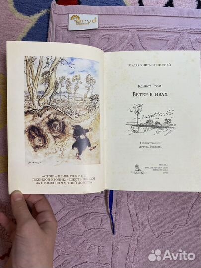 Книга в старинном стиле Ветер в ивах