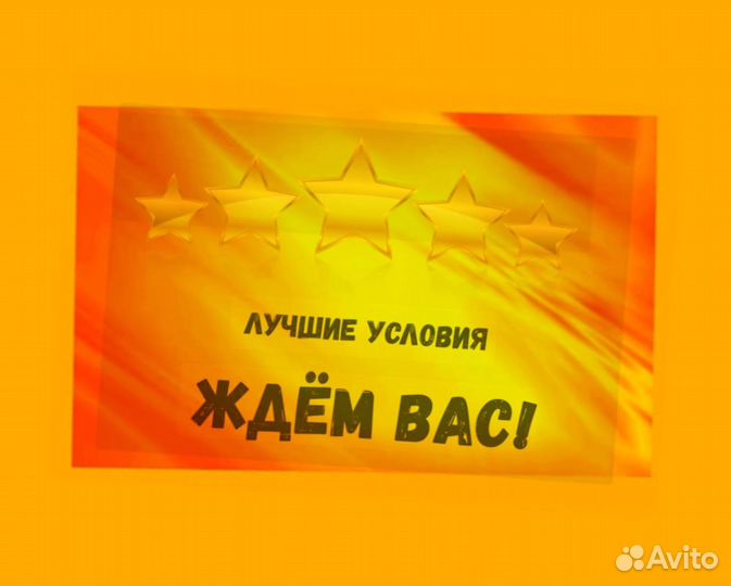 Сортировщик Еженедельный аванс Спецодежда М/Ж