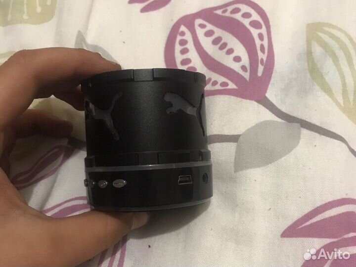 Колонка пума