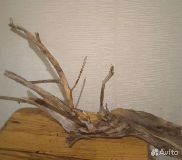 Коряги для аквариума,террариума,флорариума и декор