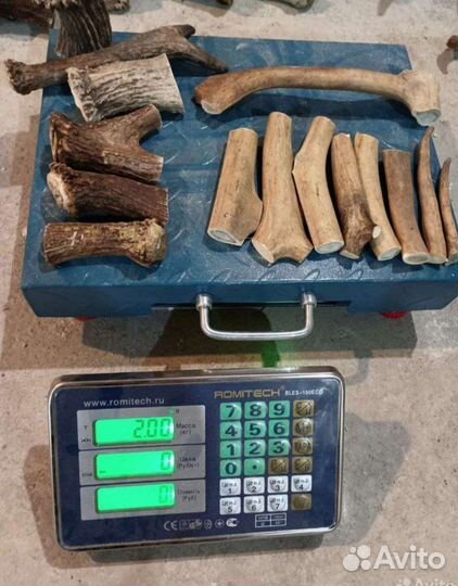 Лакомство для собак (рога оленя, рога лося)