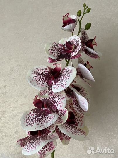 Веточки для декора