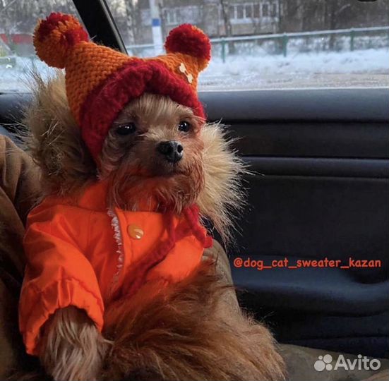 Шапки для собак