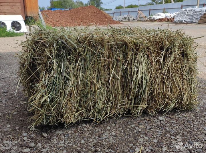 Сено в тюках доставка
