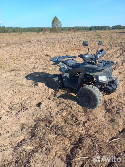 Детский квадроцикл 125 см куб Avantis