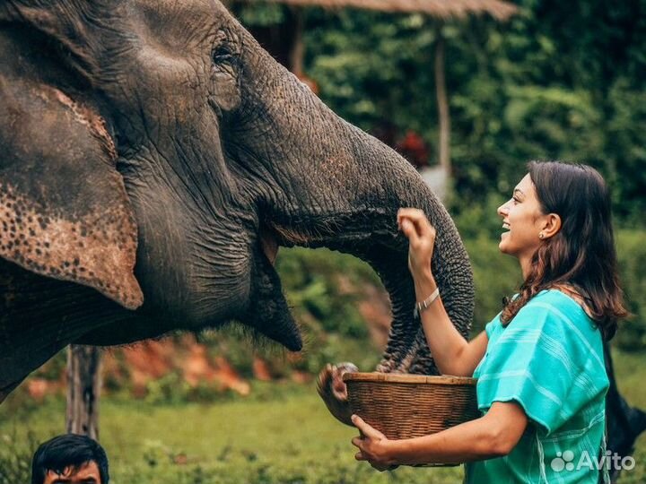 Экскурсия — Пхукет — Семейные Приключения На Пхуке