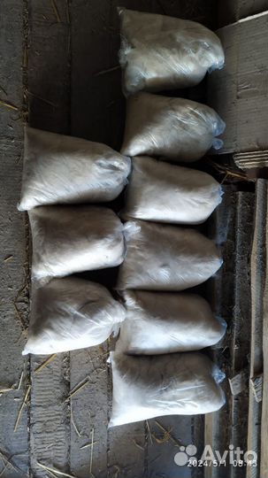 Шерсть собаки (алабай)