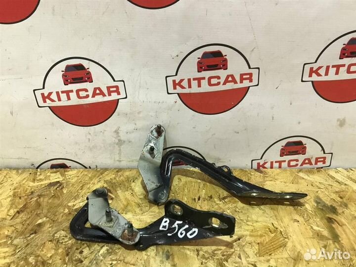 Петли капота (пара) Ford Focus 2