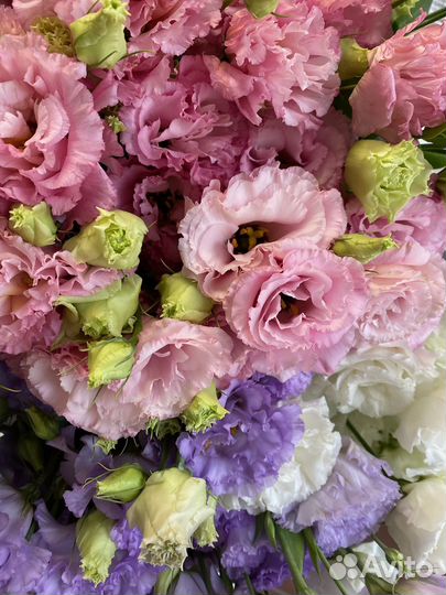 Эустома, букет эустомы, Доставка цветов