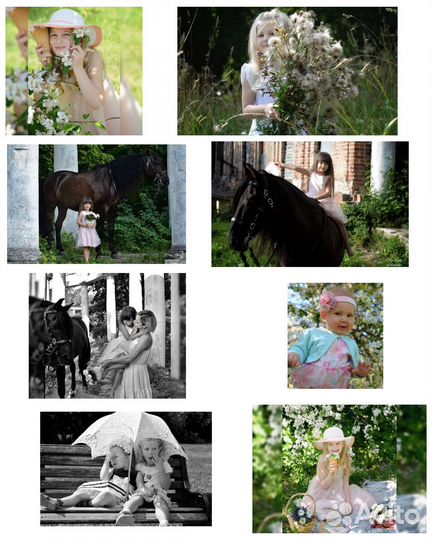 Фотопроекты 