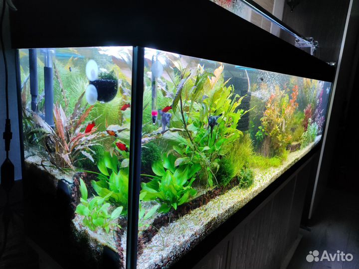 Аквариум (Акваскейп)