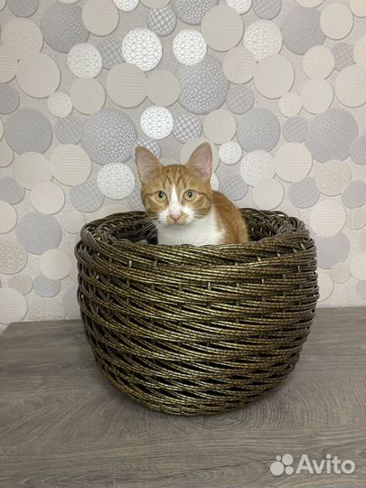 Кашпо из ротанга 16 литров