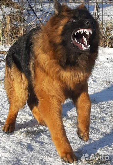 Открыт для вязок