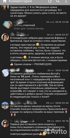 Передержка животных