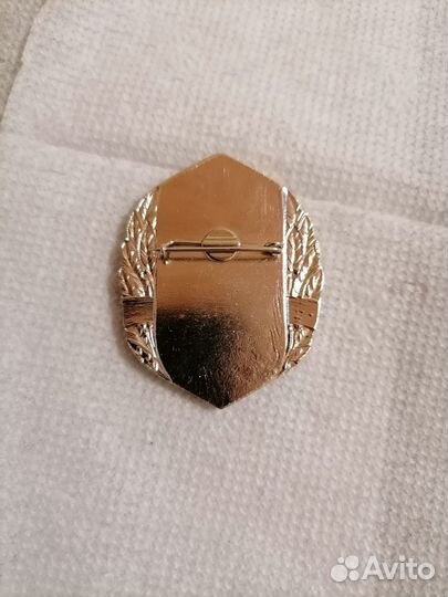 Знак Лучший Бухгалтер-Экономист Донецкая железная