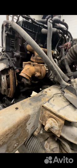 ГАЗ ГАЗель Next промтоварный, 2019