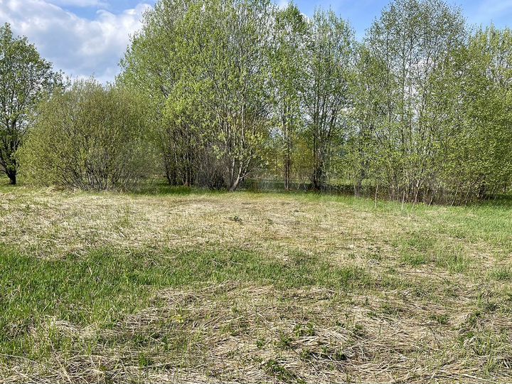 Участок 20,2 сот. (СНТ, ДНП)