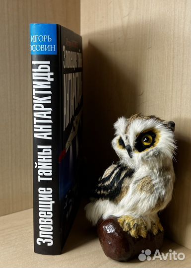 Осовин И. Зловещие тайны Антарктиды