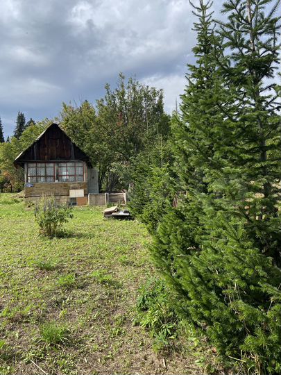 Участок 10 сот. (СНТ, ДНП)