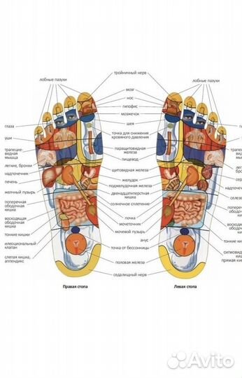 Доски садху гвоздестояние акупунктура