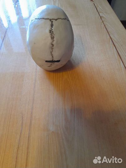 Копилка Череп