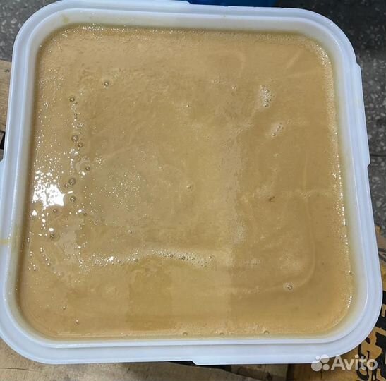Лесной мёд оптом