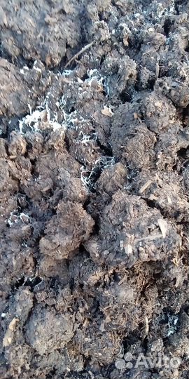 Смесь для грибов, овощей. Грибные блоки