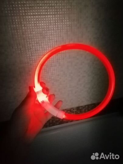 Ошейник светодиодный