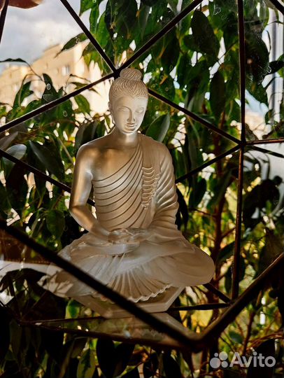 Будда флорариум,прозрачный