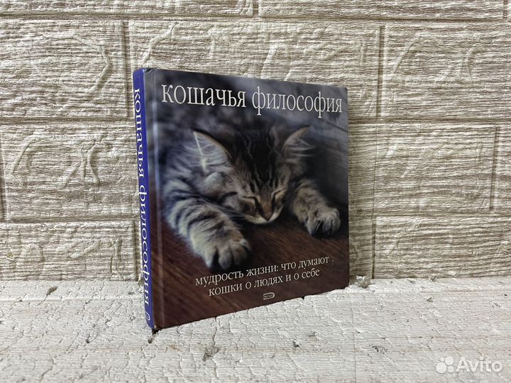 Кошачья философия. Мудрость жизни