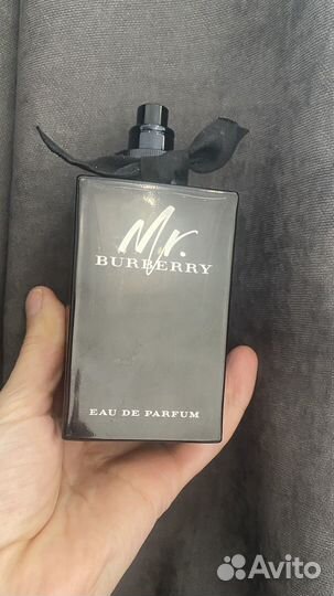 Mr burberry