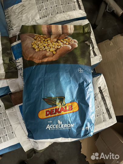 Семена кукурузы дкс 4178