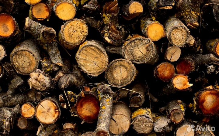 Дрова в область