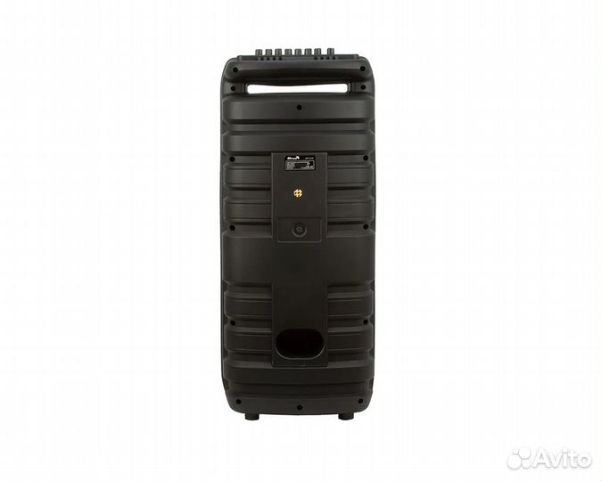 Портативная напольная акустика NDR -X898