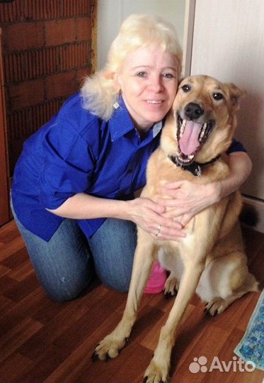 Инженер пто