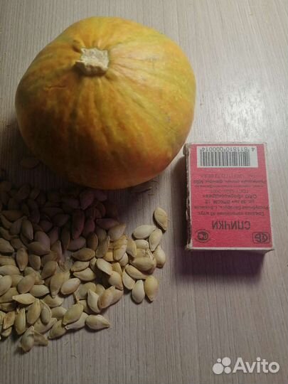 Тыква декоративная