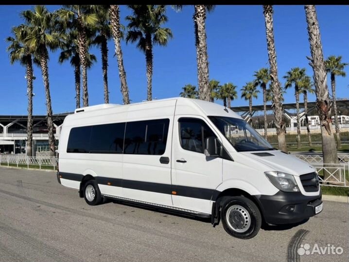 Экскурсии по Абхазии Золотое Кольцо