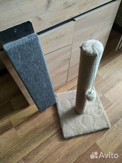 Когтеточка