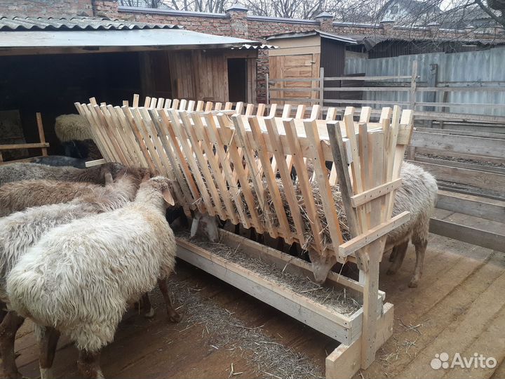 Кормушка для баранов