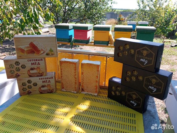 Мёд с пасеки Крем-мёд