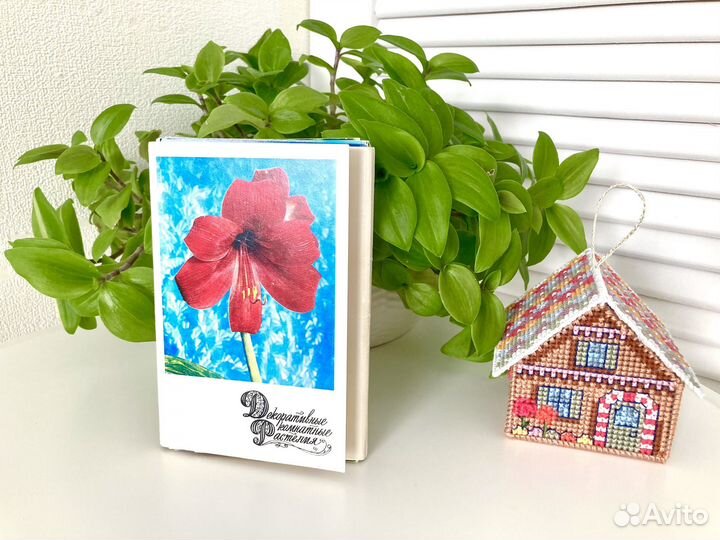 Наборы открыток СССР комнатные растения