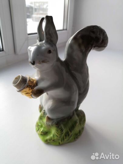 Белка Хайта