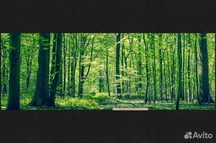 Ткань с дизайном Панорамы