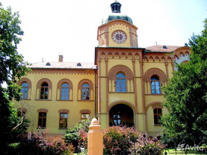 Экскурсия — Белград — Фрушка Гора — Сремские Карло