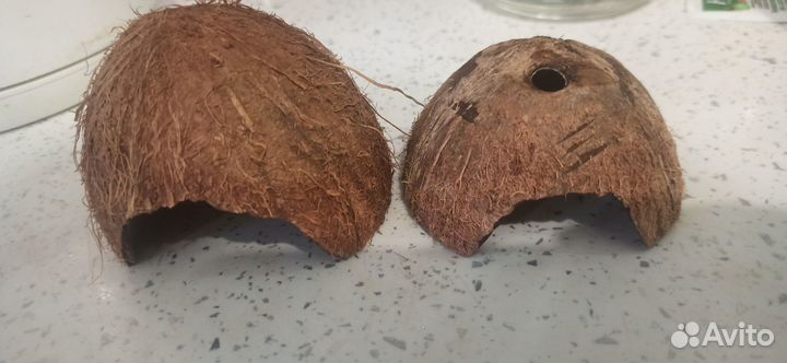 Кокос для хомяка, аквариума