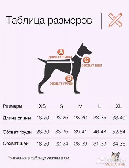 Одежда для животных