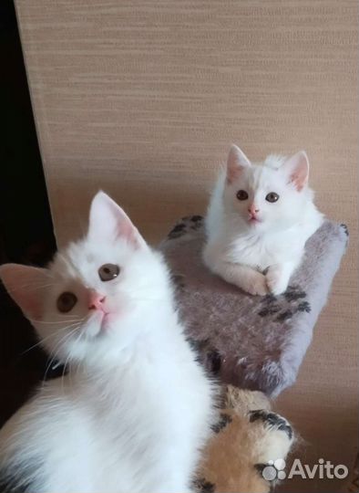 Всем деткам нужна семья