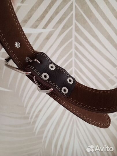 Ошейники для собак крупных пород оптом и в розницу